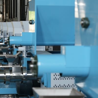 Automatyczna kontrola 380 V Pływająca maszyna do żywności dla drobiu Mała maszyna do granulowania pasz