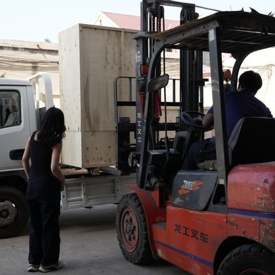 Pet Dog Cat Fish Feed Extruder Maszyna do peletowania pasz dla zwierząt do przetwarzania pasz