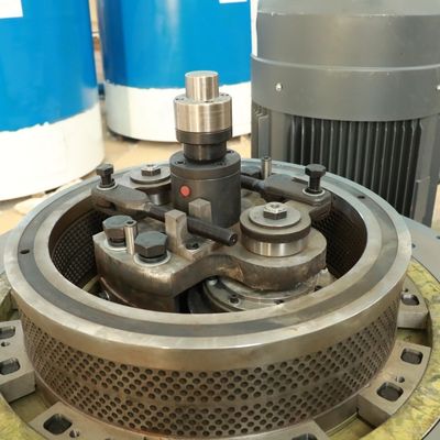 Lucerna Bagasse Biopaliwo Plastikowa maszyna do produkcji peletów 5000 kg / H 2 mm