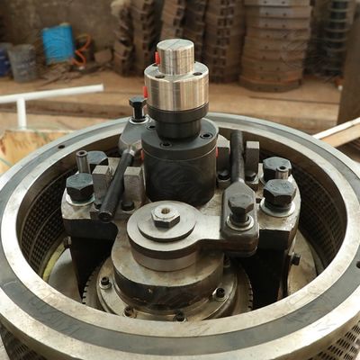 Paliwo Eucalyptus Wood Pellets Machine Vertical Ring Die 3t/H