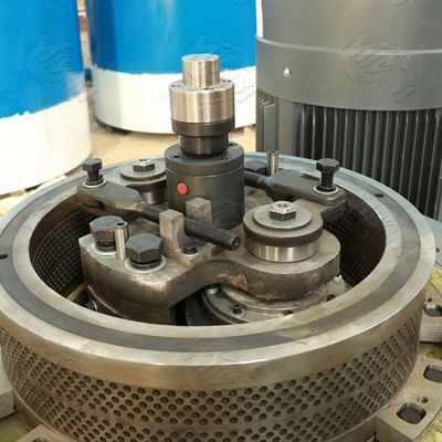 Całkowicie automatyczna nowa linia produkcji pelletów lucerny z biomasy