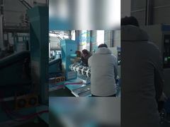 Automatic Floating Fish Feed Making Machine Plant Fish Feed Extruders